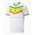 Camisola Senegal Equipamento Primeiro Copa do Mundo 2022 Manga Corta